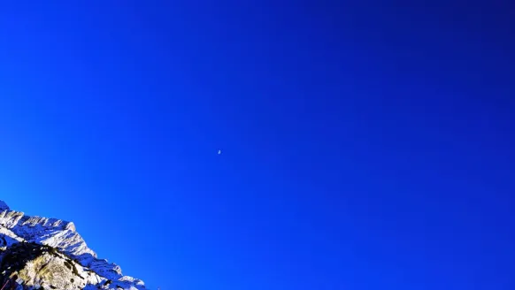 카지노 벳 록커 지원